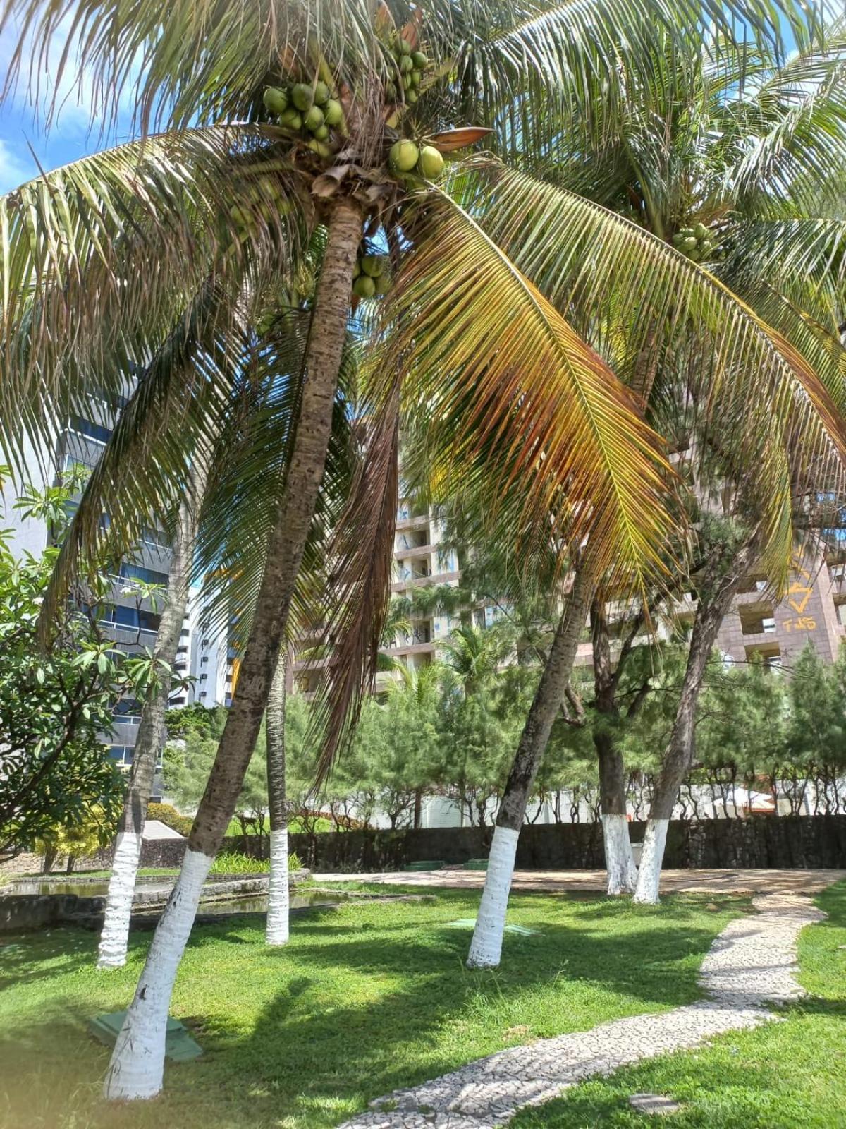 Golden Beach Flat Na Praia Piedade Jaboatao dos Guararapes Εξωτερικό φωτογραφία